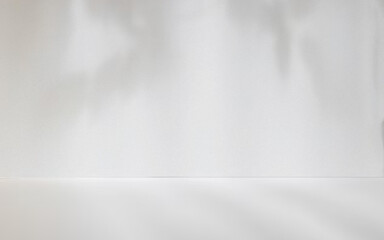 Empty White Studio Scene with Light Texture leaf shadow
