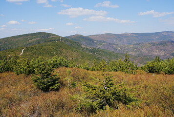 Naklejka premium View to Silesian Beskids near Szczyrk town in Poland