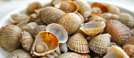 Marinated seafood shells arranged on a plate showcasing culinary delights of fresh ocean cuisine