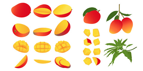 Mango set. Whole fresh raw mango fruit cut into halves, quarters, slices and cubes.  Mango with leaves on tree branch.