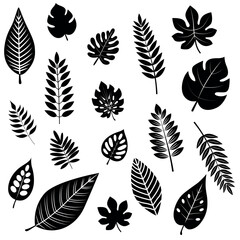 Black Silhouette Decorative Leaf Set