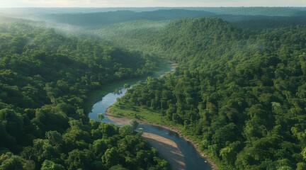 Fototapeta premium Vast Amazon Rainforest Seen from Above.