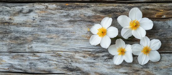 Obraz premium Vintage wooden calendar with February date adorned by white and yellow flowers on a weathered wood background for Valentine's Day decor.