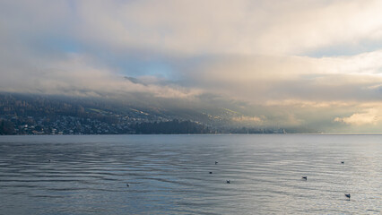 Morgenstimmung am See