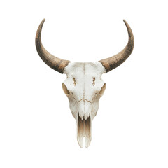 Cow Skull with Long Horns on White Background for Nature and Art Projects Transparent Background