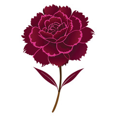 maroon carnation silhouette