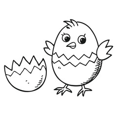 newborn chicken, newborn chicken in broken egg shell, head of chicken vector emoji illustration isolated on white background.