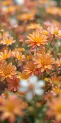 Vibrant floral backdrop, soft focus, bokeh effect, picture,bright
