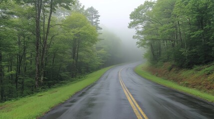 Obraz premium Misty Mountain Road Scenic Drive Foggy Forest Landscape