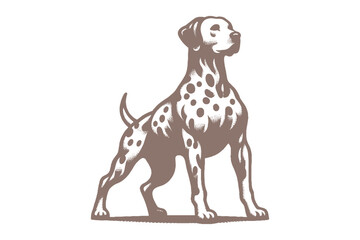 Dalmatian dog vector | dog vector | dog illustration | dog silhouette | dog tattoo | dog engraving | dog