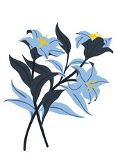 Lilie freigestellt © Linda