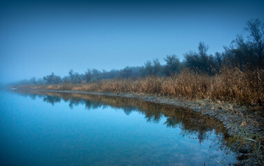 Fototapeta premium Autumn morning on the blu lake with fog , reflections on water ,landscape photography .Blue colors ,blue water ,mystery weather on the ponf.Forest near the pond , morning landscape at autumn season
