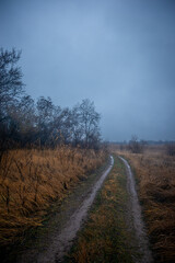 Beautiful road in the field and forest,autumn landscape in woodlands.Mystery and rainy weather with blue and grey sky, forest nature after the rain, road to the forest , water on the road.Wild nature 