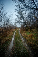 Beautiful road in the field and forest,autumn landscape in woodlands.Mystery and rainy weather with blue and grey sky, forest nature after the rain, road to the forest , water on the road.Wild nature 