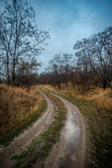 Beautiful road in the field and forest,autumn landscape in woodlands.Mystery and rainy weather with blue and grey sky, forest nature after the rain, road to the forest , water on the road.Wild nature 