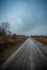 Beautiful road in the field and forest,autumn landscape in woodlands.Mystery and rainy weather with blue and grey sky, forest nature after the rain, road to the forest , water on the road.Wild nature 