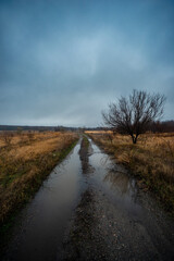 Beautiful road in the field and forest,autumn landscape in woodlands.Mystery and rainy weather with blue and grey sky, forest nature after the rain, road to the forest , water on the road.Wild nature 