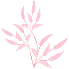 Pink leaf illustration, floral wedding 