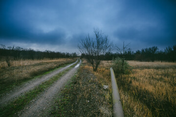 Beautiful road in the field and forest,autumn landscape in woodlands.Mystery and rainy weather with blue and grey sky, forest nature after the rain, road to the forest , water on the road.Wild nature 