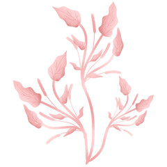 Pink leaf illustration, floral wedding 