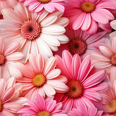 A close up of a bunch of pink and white flowers