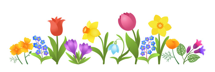 Spring flowers border isolated. Vibrant floral frame design element. Early blossom springtime flower bloom. Crocuses, snowdrop, daffodils, tulips, forget-me-nots, lungwort. Vector illustration.