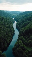 Scenic river flowing through lush green hills aerial view nature landscape tranquil environment