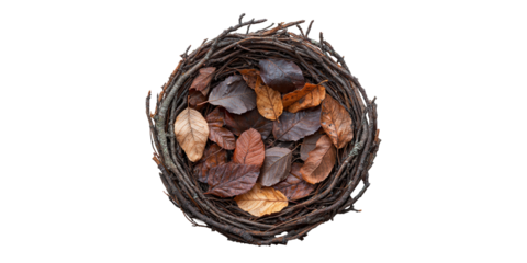 Bird nest with brown leaves isolated on transparent background