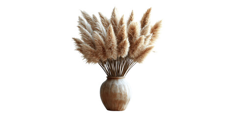 Pampas grass arrangement in ceramic vase isolated on transparent background