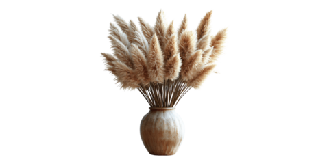 Pampas grass arrangement in ceramic vase isolated on transparent background