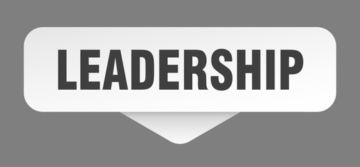 LEADERSHIP button, label, sign