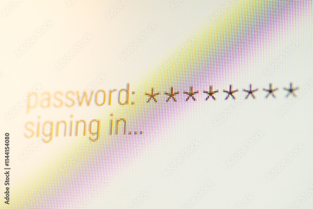 Poster signing in a website after entering password. concept of entering webpage or server after security c