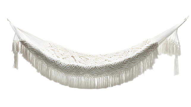 white feather on white background