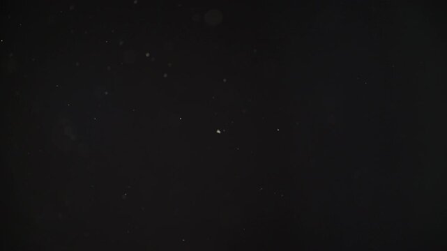 Dust particles abstract bokeh, white particles floating in the air on black background in slow motion, 4k