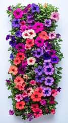 Colorful petunias in a rectangular planter.