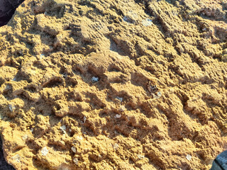 Textured rock surface displaying intricate patterns and warm earth tones, ideal background for creative projects