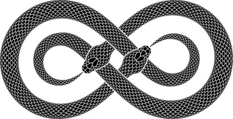 Vector tattoo design of two intersecting snakes biting their tails in the form of double infinity sign. Isolated serpent silhouette of ouroboros symbol.