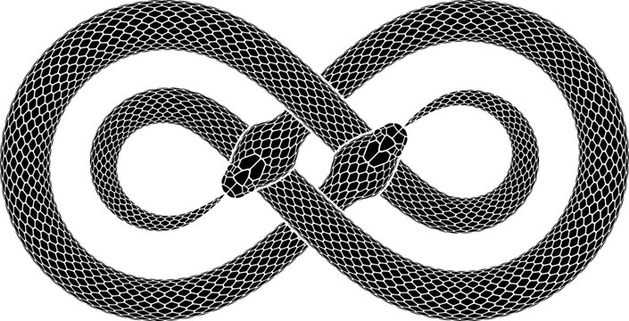 Vector tattoo design of two intersecting snakes biting their tails in the form of double infinity sign. Isolated serpent silhouette of ouroboros symbol.