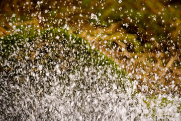Water splash with small drops in front of abstract green-brown natural background of a meadow, selective focus