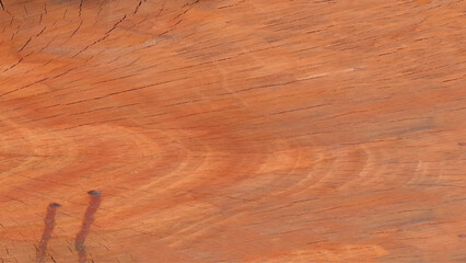 Hardwood texture in brown color. aged trees. above view. Old wood worn for use as wallpaper