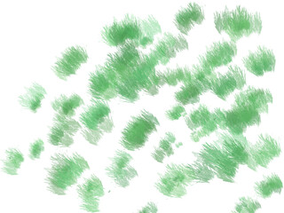 Grass, watercolor cartoon style grass