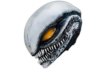 There is a message for humans from an alien creature. A portrait series depicting a grey species humanoid from another planet.