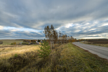 A cloudy sky with a tree in the foreground