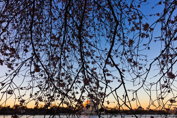 Springtime daybreak view from the banks of the Tidal Basin featuring the Thomas Jefferson Memorial and cherry blossoms, National Mall, Washington DC
