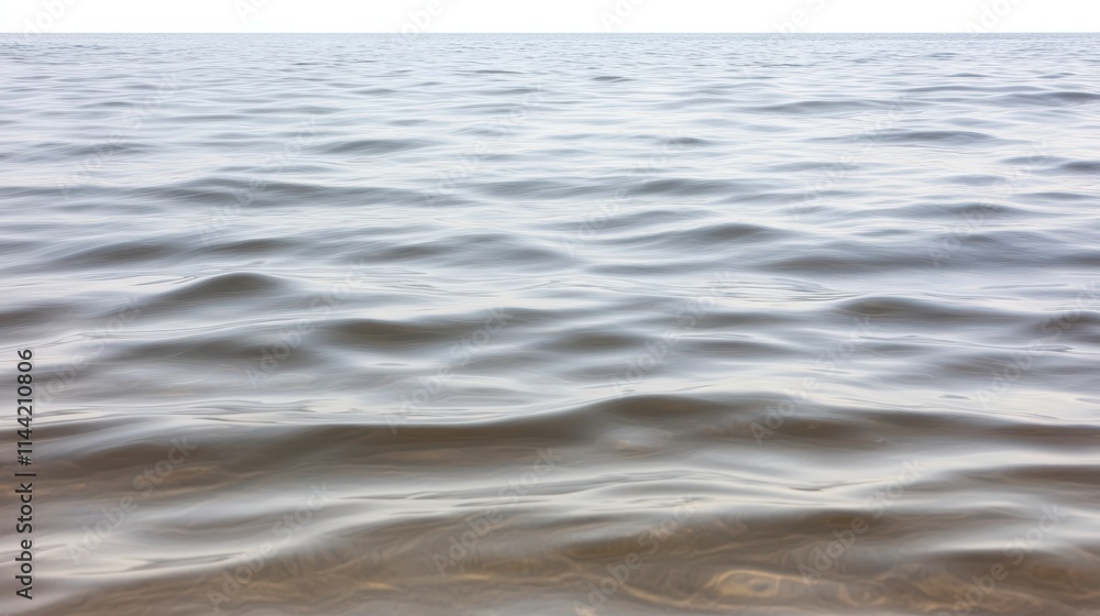 Poster a calm surface of water with gentle waves, reflecting light, creating a serene and tranquil atmosphe
