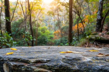 Forest Product Background. Advertisement Concept for Nature Products in Tasmania, Australia