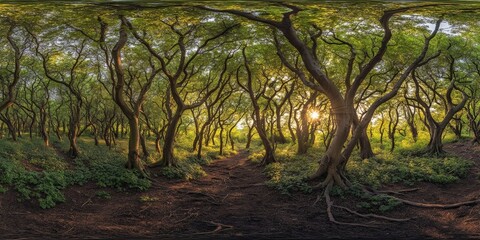 Naklejka premium A serene forest scene with sunlight streaming through vibrant green trees and lush vegetation, inviting exploration and peace.