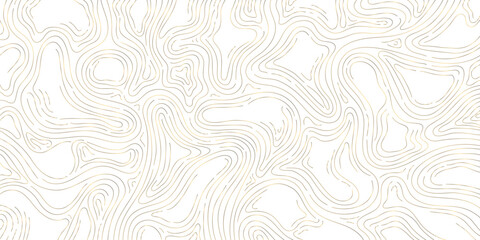 Vector gold line wood texture illustration, organic shape wave pattern, abstract luxury tree graphic, trunk circles, topography map background