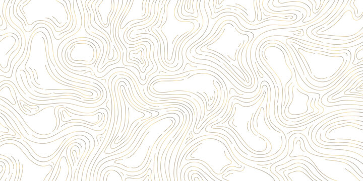 Vector gold line wood texture illustration, organic shape wave pattern, abstract luxury tree graphic, trunk circles, topography map background