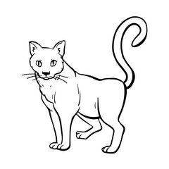 Curious cat with its tail raised stands and looks. Free hand Fat cute domestic pet illustration. Trendy doodle icon. Sketch style crooked vector.